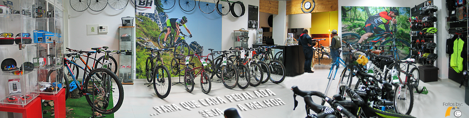 Avalanche bike best sale shop